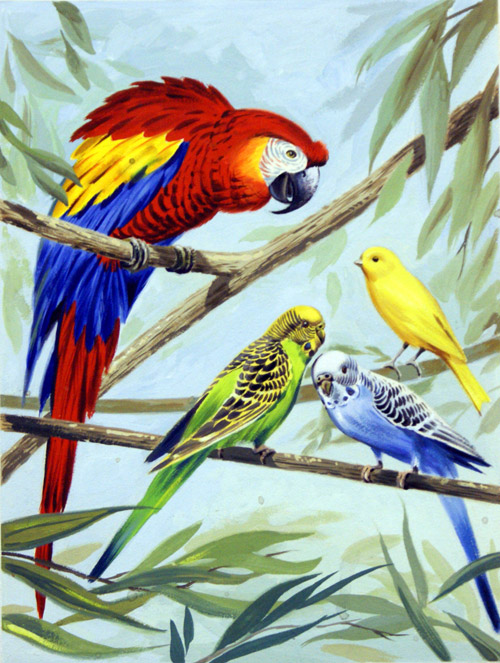 Feathered Friends (Original) by Birds at The Illustration Art Gallery