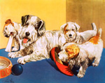 A Dog and her Puppies (Original Macmillan Poster) (Print) art by John Baker at The Illustration Art Gallery