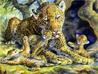 Leopardess and her Cubs (Original)