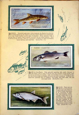 Complete Set of 50 British Fresh-Water Fishes Cigarette cards in album (1933) at The Book Palace