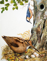 Woodland Birds (Original) (Signed)
