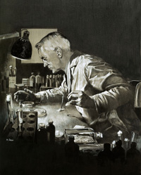 Alexander Fleming Discovers Penicillin (Original) (Signed)