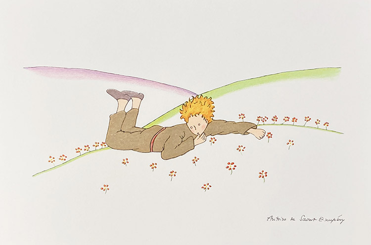 The Little Prince lying on the grass (Limited Edition Print) by Antoine de Saint Exupery Art at The Illustration Art Gallery