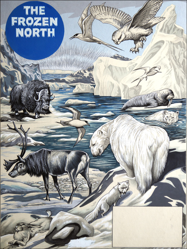 The Frozen North (Original) by Richard Hook at The Illustration Art Gallery