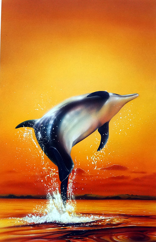 Dolphin Sunrise book cover art (Original) by Barry Jones Art at The Illustration Art Gallery
