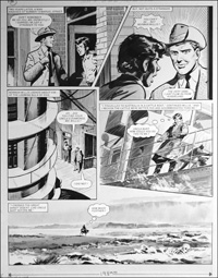 Number 13 Marvel Street - Blacksnake (TWO pages) (Originals)