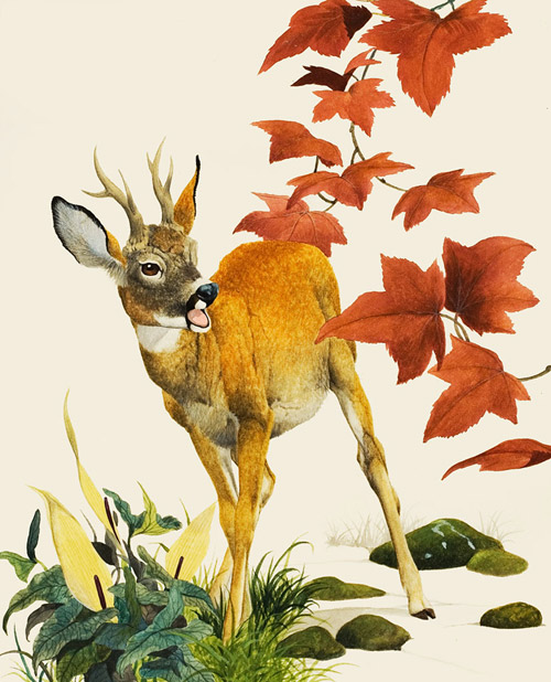 At Home in the Forest (Original) by Kenneth Lilly Art at The Illustration Art Gallery