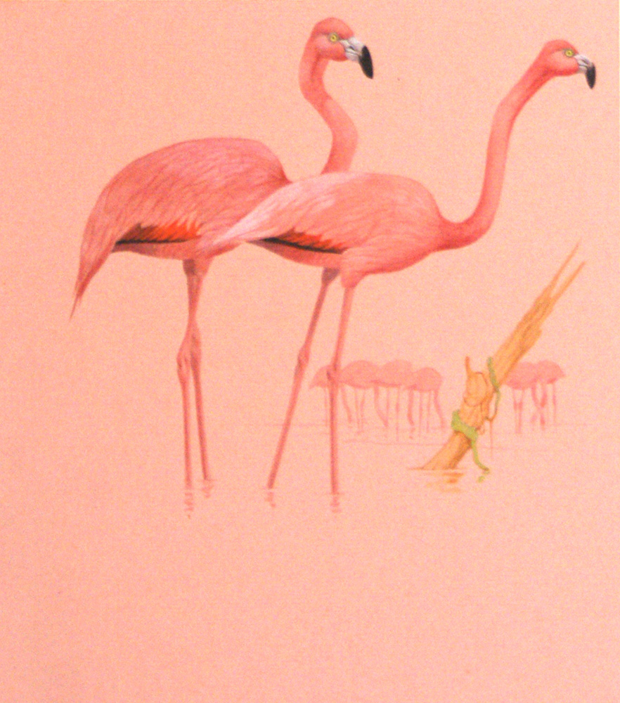 Pink Flamingos (Original) art by Kenneth Lilly Art at The Illustration Art Gallery