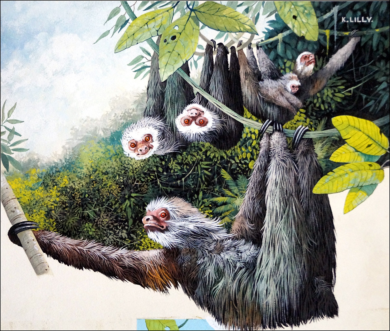 Hanging Around - The Sloth (Original) (Signed) art by Kenneth Lilly Art at The Illustration Art Gallery