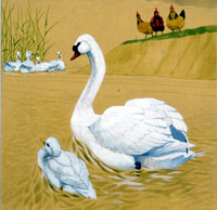 The Ugly Duckling (8) (Original)