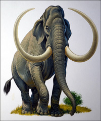 Imperial Mammoth (Original)