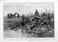 Artillery Horses (original page from The Sphere 1917) (Print)