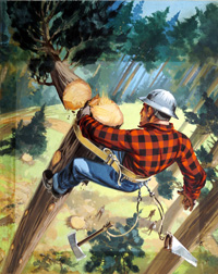 Lumberjack (Original) (Signed)