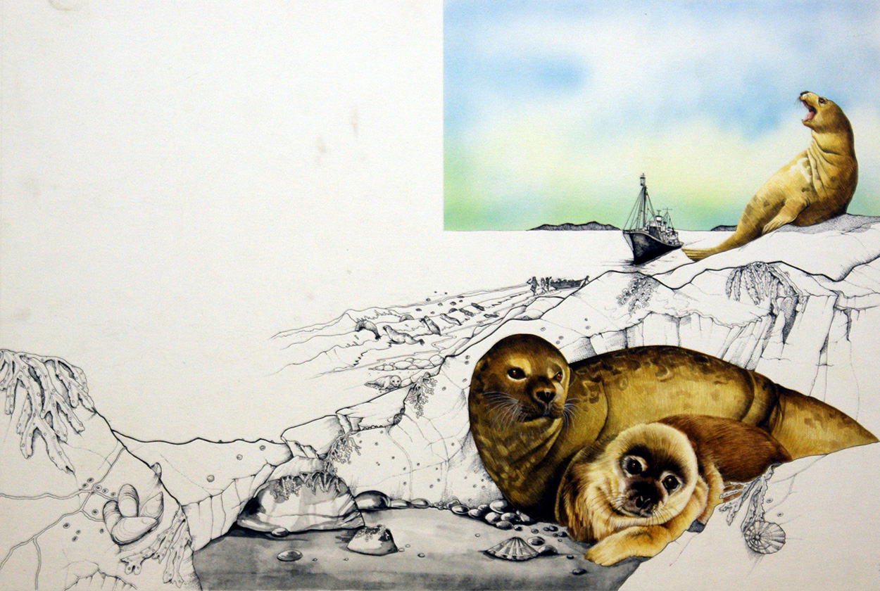 Seals - The Season of Slaughter (Original) art by Susan Neale Art at The Illustration Art Gallery