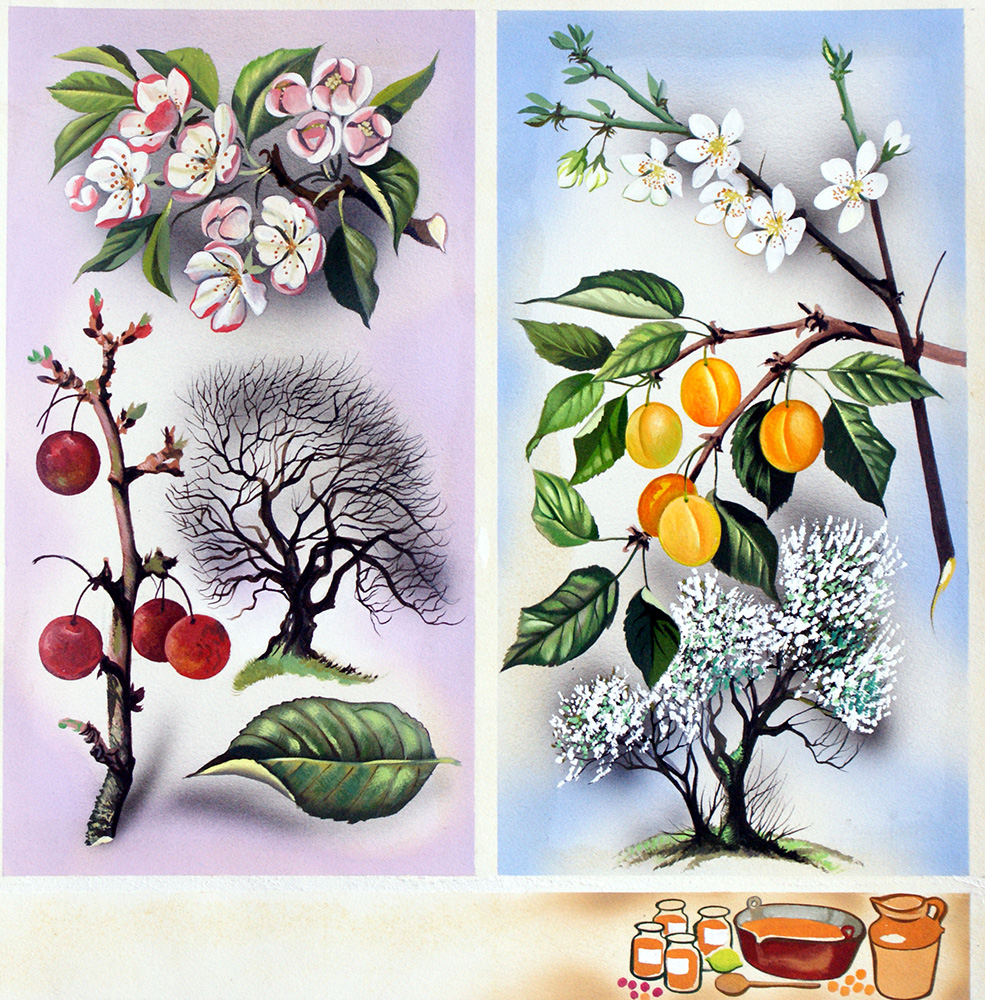 Cherry and Peach Wild Fruit Trees (Original) art by David Pratt at The Illustration Art Gallery