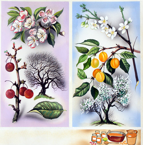 Cherry and Peach Wild Fruit Trees (Original) by David Pratt at The Illustration Art Gallery