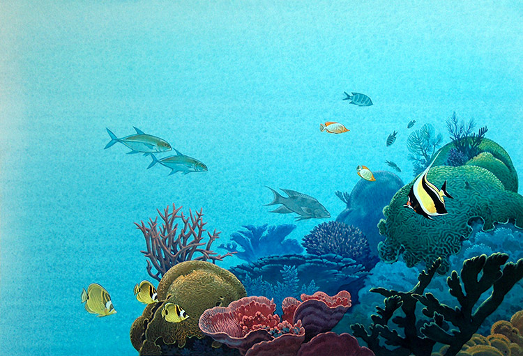 Coral under the Sea (Original) by John Rignall Art at The Illustration Art Gallery