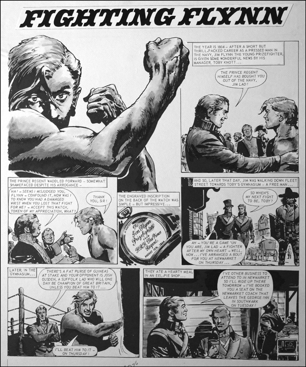 Fighting Flynn - Punch Bag (Print) by Carlos Roume Art at The Illustration Art Gallery