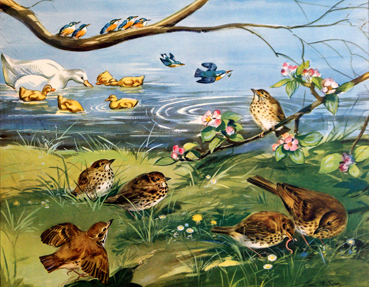 The Birds go to School (Original Macmillan Poster) (Print) by Eileen Soper at The Illustration Art Gallery