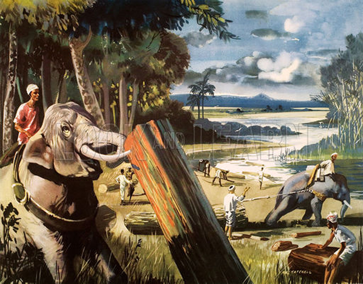 Elephant in a Burmese teak forest (Original Macmillan Poster) (Print) art by Mac Tatchell at The Illustration Art Gallery