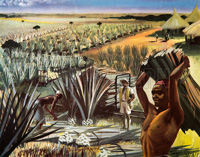 A Sisal plantation in Tanganyika (Original Macmillan Poster) (Print)