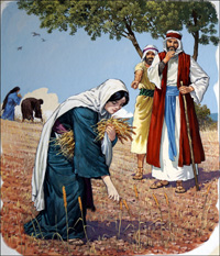 Ruth Gathers Corn in Boaz Field (Original)