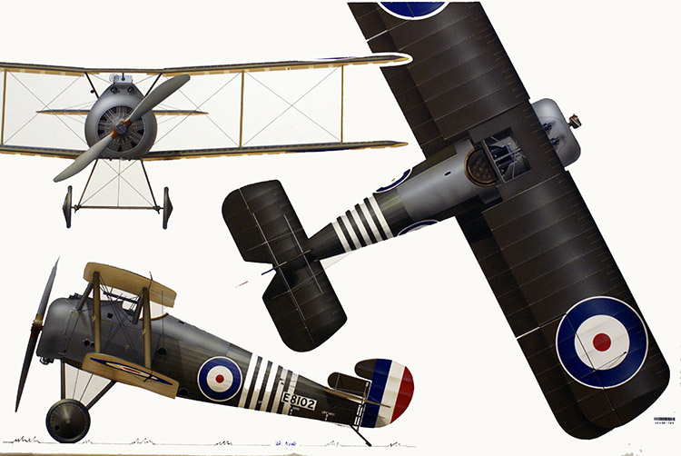 Sopwith Snipe (Original) (Signed) by Iain Wyllie Art at The Illustration Art Gallery